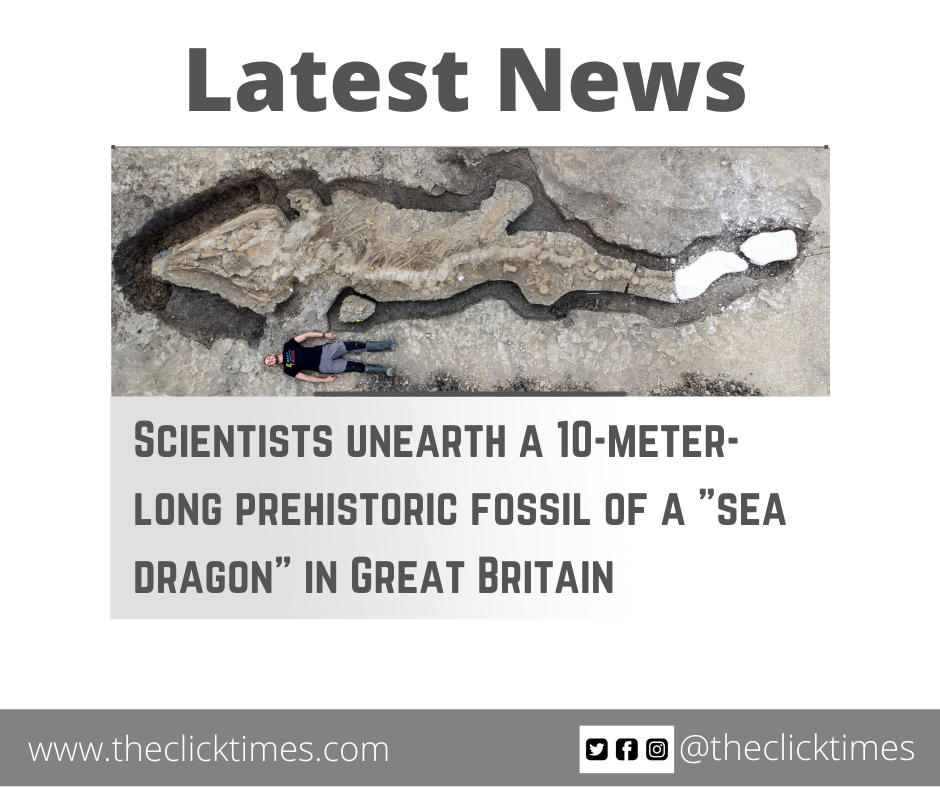 Scientists unearth a 10-meter-long prehistoric fossil of a "sea dragon" in Great Britain - The Click Times