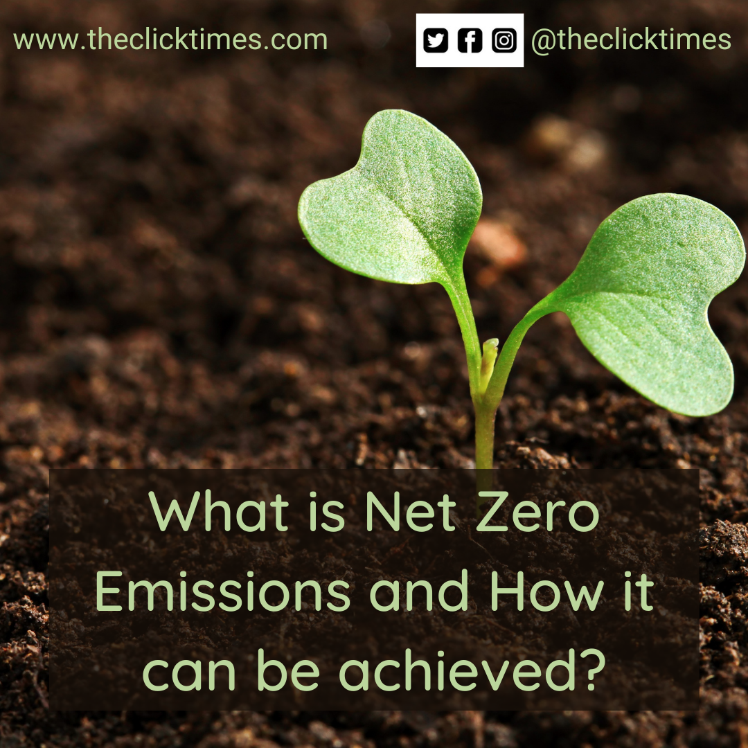 What is Net Zero Emissions and How it can be achieved?