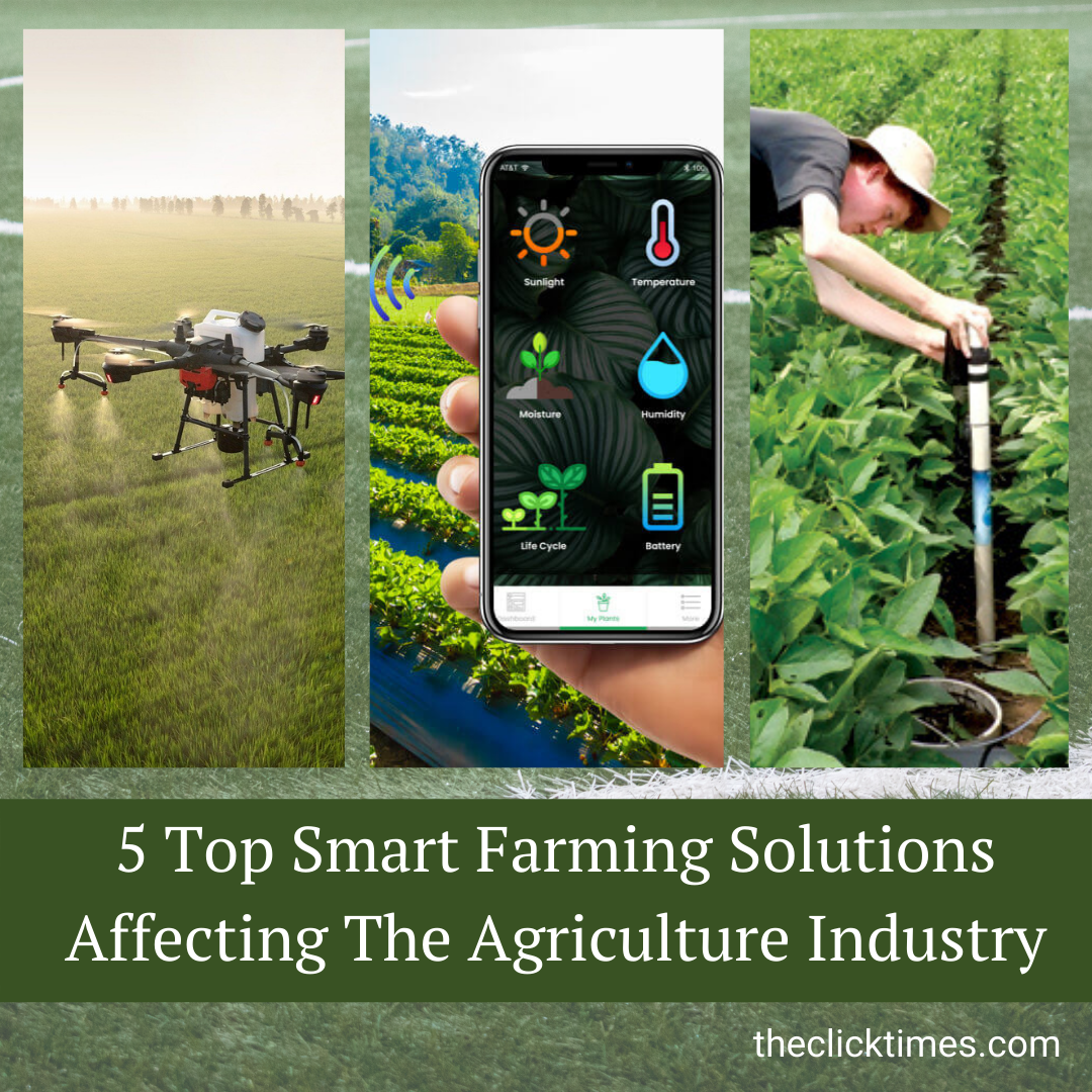 5 Top Smart Farming Solutions Affecting The Agriculture Industry - The Click Times