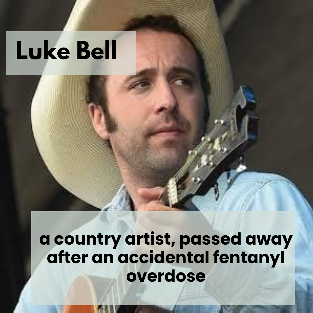 Luke Bell News