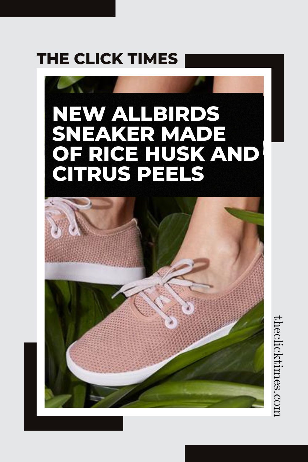 New Allbirds Sneaker Made of Rice Husk and Citrus Peels - The Click Times